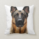 Search for german shepherd cushions Puppy