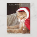 Search for grumpy christmas cards Funny