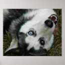 Search for furries art Anthro