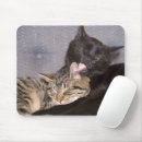 Search for cuddling mousepads Kitten