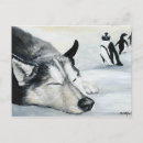 Search for husky dogs postcards Snow