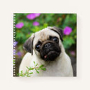 Search for pug notebooks Animal