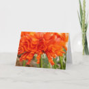 Search for ruffles cards Flowers