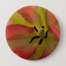 Search for yellow tulips badges Beautiful