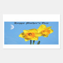 Search for mothers day daffodils Flowers
