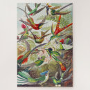 Search for biology puzzles Kunstformen der natur