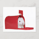 Search for mailings postcards White