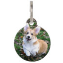 Search for running bandanas Cute