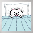 Search for pomeranian posters Pets