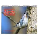 Search for bluebird office supplies Baltimore oriole