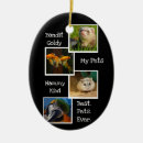 Search for pet ferret christmas tree decorations Pets