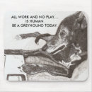 Search for greyhound electronics Canine
