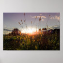 Search for romantic posters Beautiful