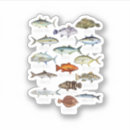 Search for fishing decals stickers Fishermen