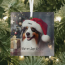 Search for aussies christmas tree decorations Funny