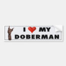 Search for doberman pinscher bumper stickers Pinschers