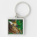 Search for white tail key rings Animal