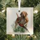 Search for vizsla christmas tree decorations Hunting