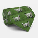 Search for sheep lamb ties Livestock