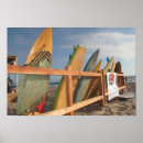 Search for surf board art Surfboards