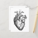 Search for cardiac postcards Anatomical