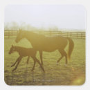 Search for running wild stickers Cowboy