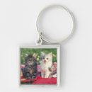 Search for blankets key rings Outdoors