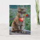 Search for luv cards Humour