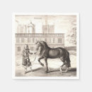 Search for andalusian horse Animal