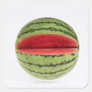 Search for watermelon slice stickers Green