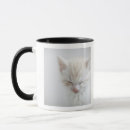 Search for photography lovers mugs Feline