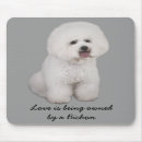 Search for bichon dog electronics Frise