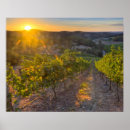 Search for adelaide posters Landscape