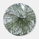 Search for needle magnets Tree