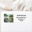 Search for cypress tree Vintage