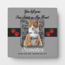 Search for paw print plaques Memorial