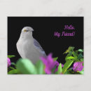 Search for become postcards For her