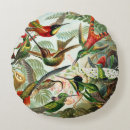 Search for hummingbird cushions Vintage