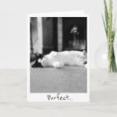 Search for cats meow birthday cards Black and white