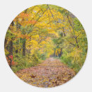 Search for hardwood stickers Chuck haney
