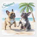 Search for sea dog stickers Summer