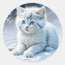 Search for white kitten stickers Cat