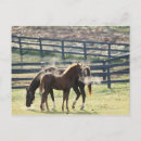 Search for grazing postcards Full length