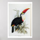 Search for edward lear posters From