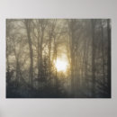 Search for sunrises art Forest