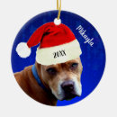 Search for red bull christmas tree decorations Puppy