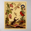 Search for dragonfly illustration posters Flowers