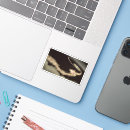 Search for young stars stickers Science