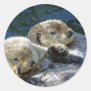 Search for sea otter stickers Furry