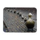Search for make way for ducklings Park